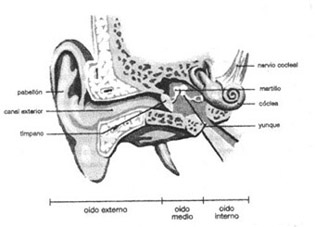 introspecci&oacute;n